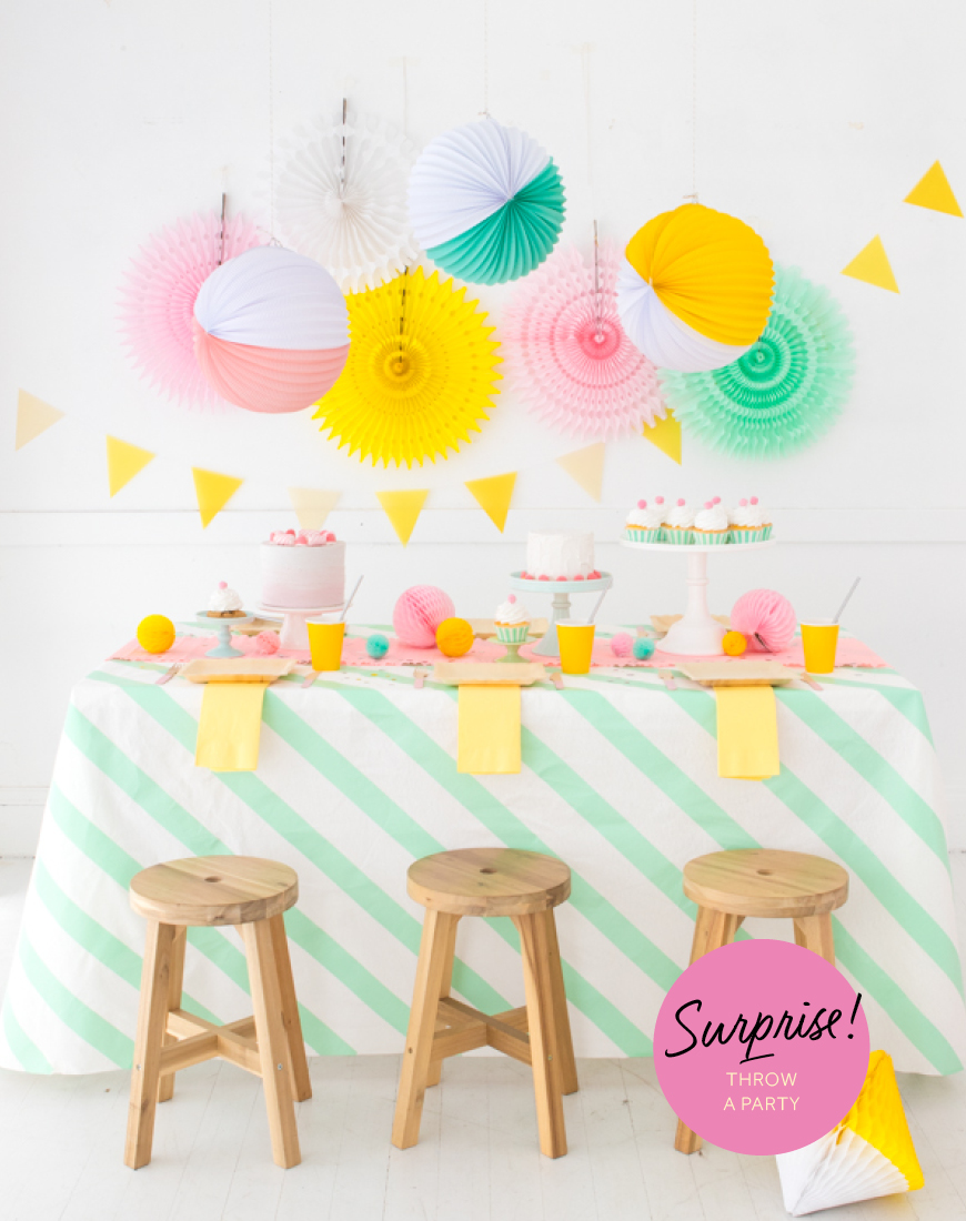 Party Supplies Dubai Party Camel